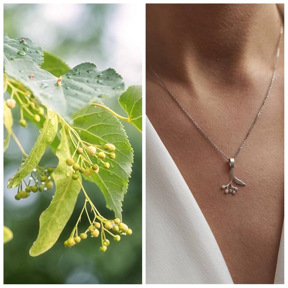 Cvijet Lovćena: Lipa