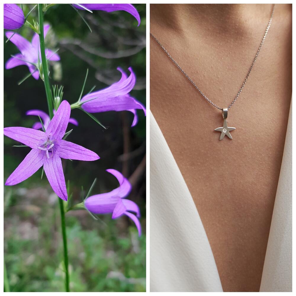 Cvijet Lovćena: Zvončić