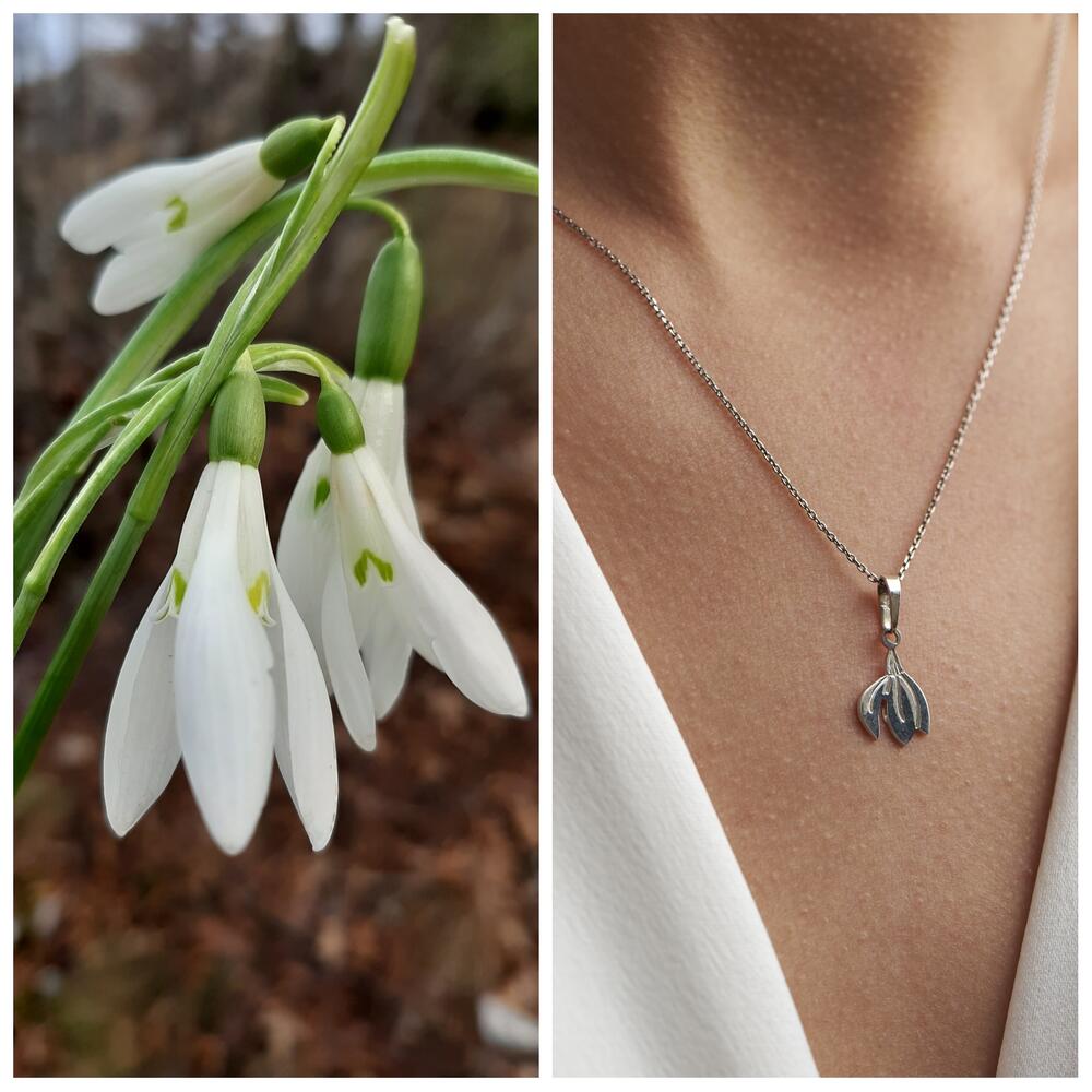 Cvijet Lovćena: Visibaba