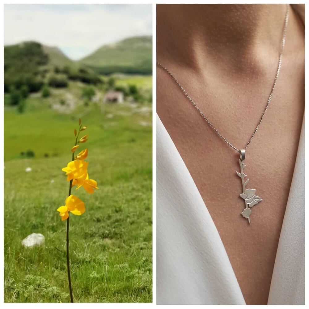 Cvijet Lovćena: Žukva