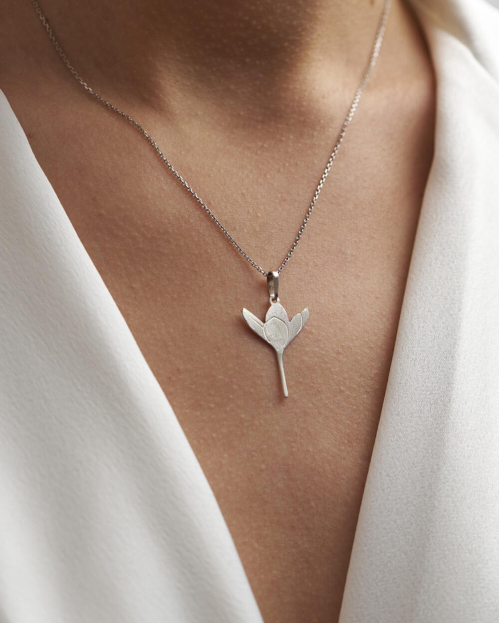 Cvijet Lovćena - Kaćun