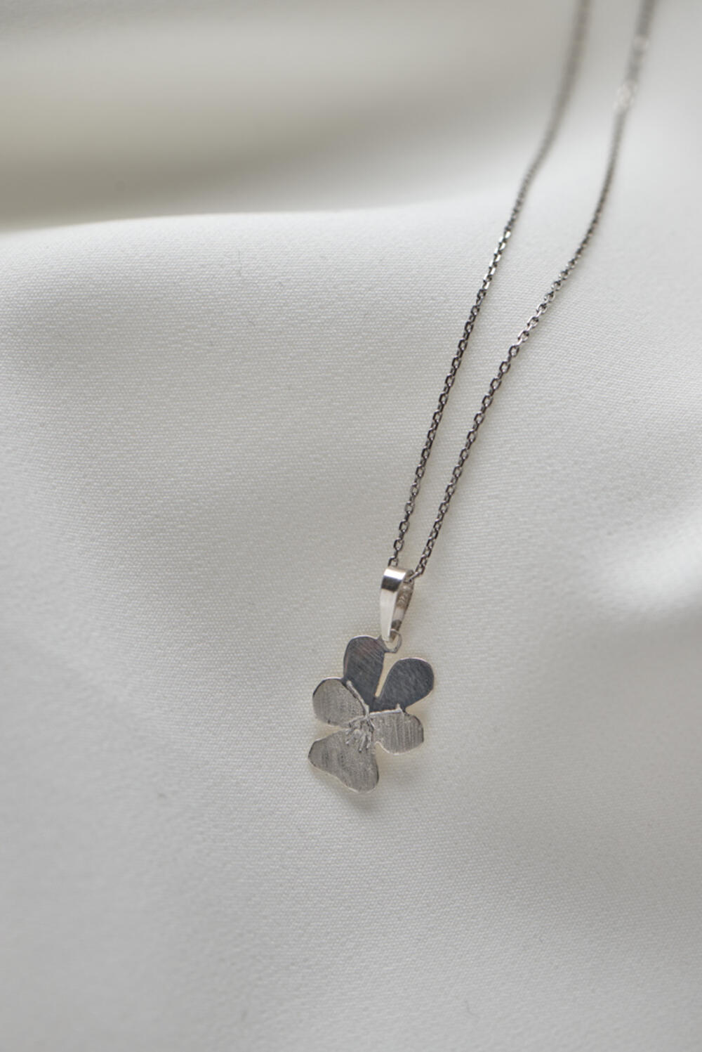 Cvijet Lovćena - Poljska ljubičica