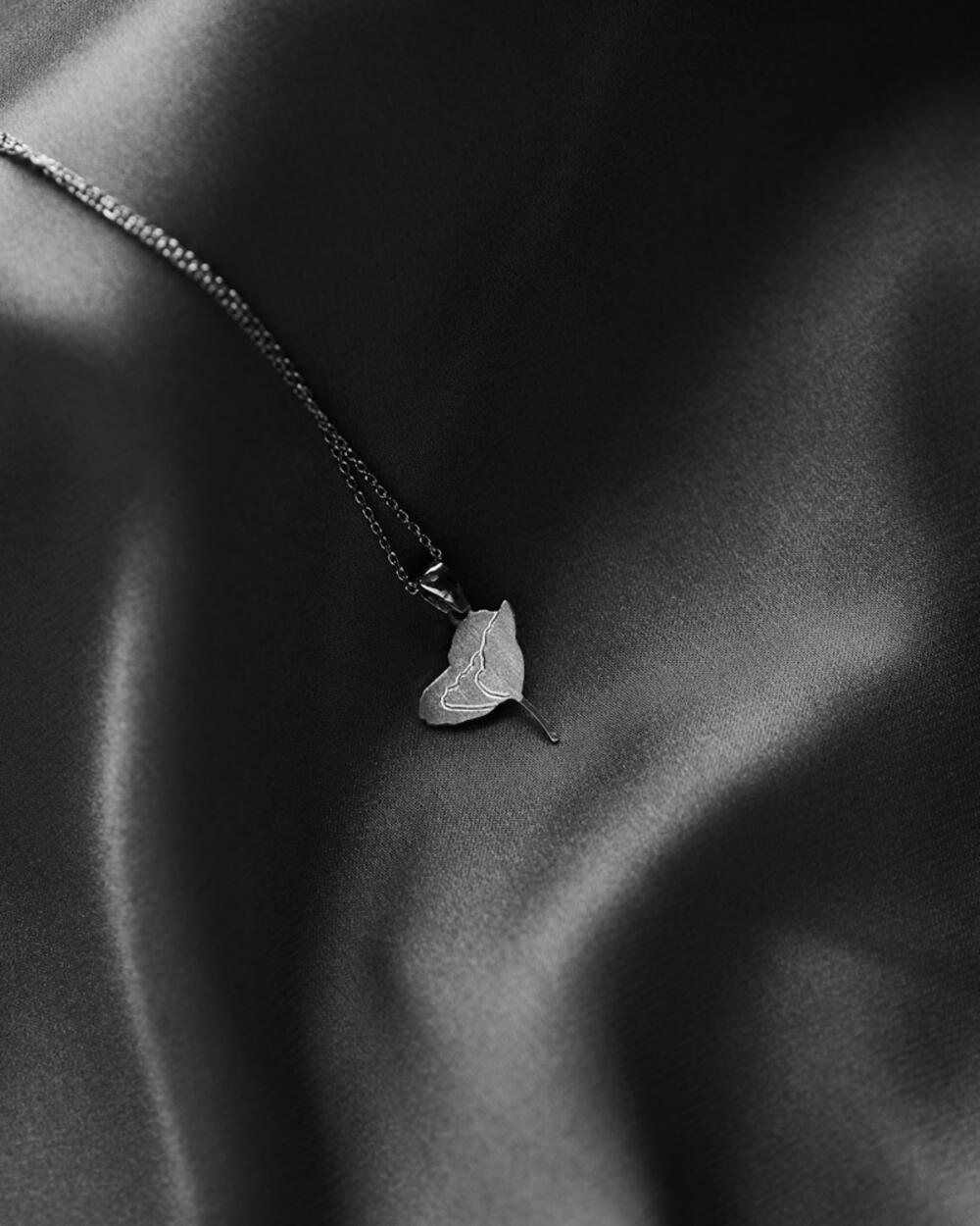 Cvijet Lovćena - Divlji mak 