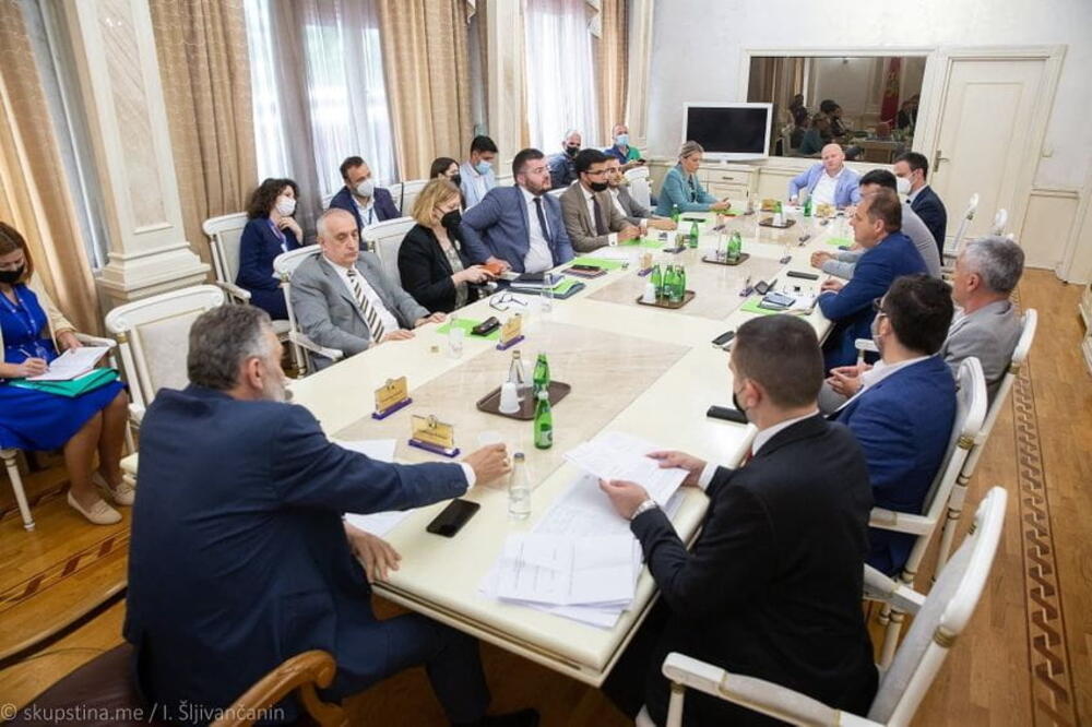 Odbor bio u blokadi više mjeseci: Detalj sa ranije sjednice, Foto: Skupština Crne Gore