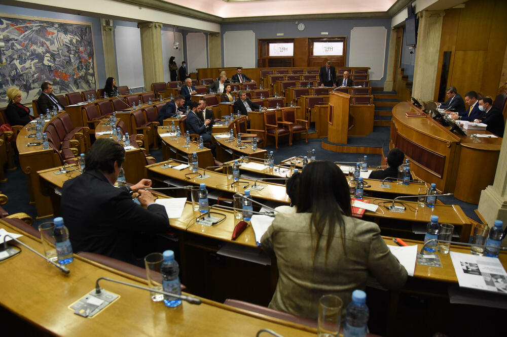 Odbor za ekonomiju danas o amandmanima: Sa jedne od sjednica Skupštine, Foto: Luka Zekovic