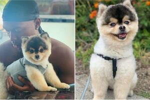 Bivši fudbaler Liverpula Danijel Staridž mora da plati 30.000...