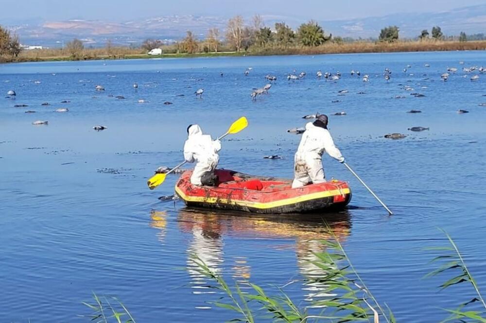 Foto: Israel Nature and Parks Authority