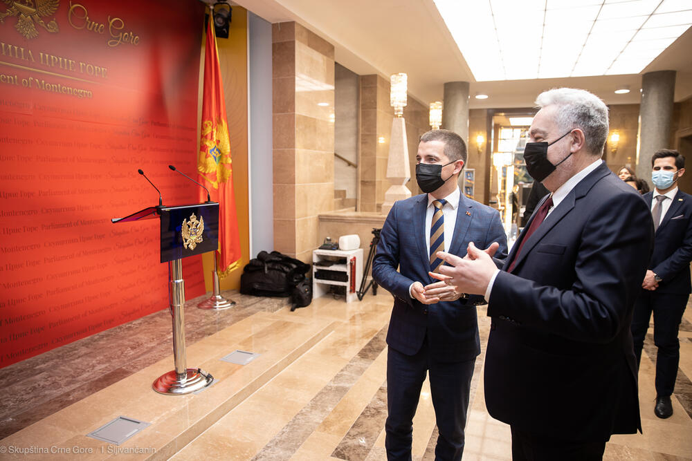 Aleksa Bečić, Zdravko Krivokapić