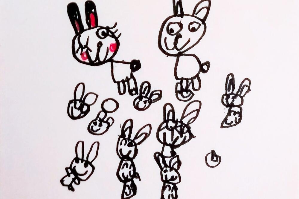 Selenin crtež, Foto: Br. M.