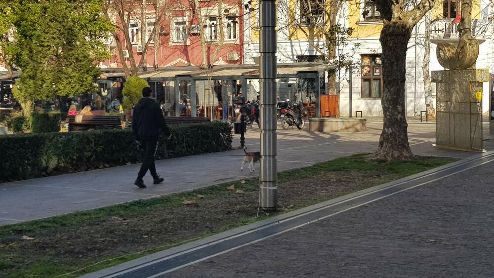 <p>Šef Meteo centra TV Vijesti Dušan Pavićević kazao je da se u <span style="background-color: rgb(255, 255, 255);">utorak u Crnoj Gori očekuje umjereno do znatno oblačno vrijeme sa uslovima za rjeđu pojavu, uglavnom slabe kiše, u južnim i centralnim predjelima</span></p>