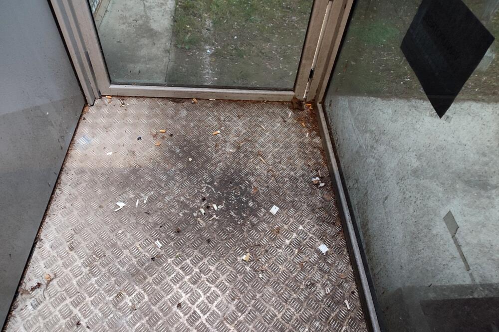 Foto: Svetlana Mandić