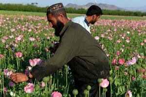 Avganistanska industrija koja ne posustaje - rekordna proizvodnja...