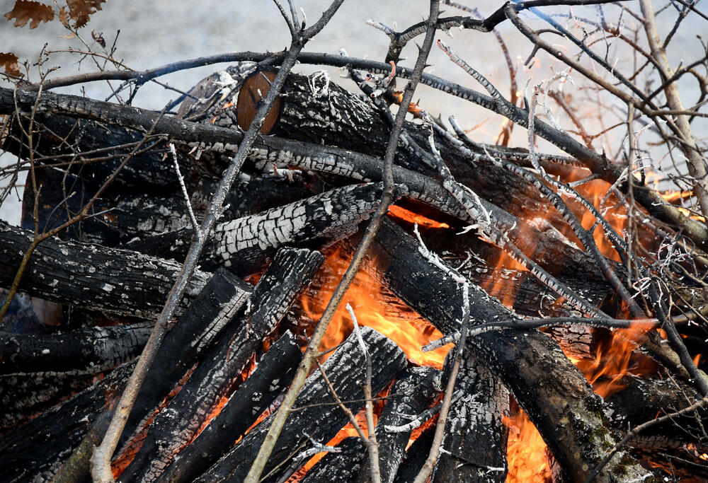 <p>Kako je proteklo današnje nalaganje badnjak ispred hrama Hristovog vaskrsenja u Podgorici možete vidjeti u galerijama naših fotoreportera Borisa Pejovića i Luke Zekovića</p>