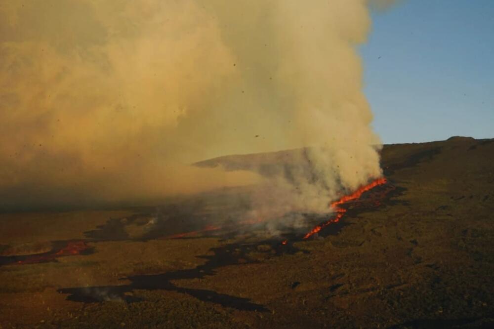 Foto: Twitter/@sosgalapagos