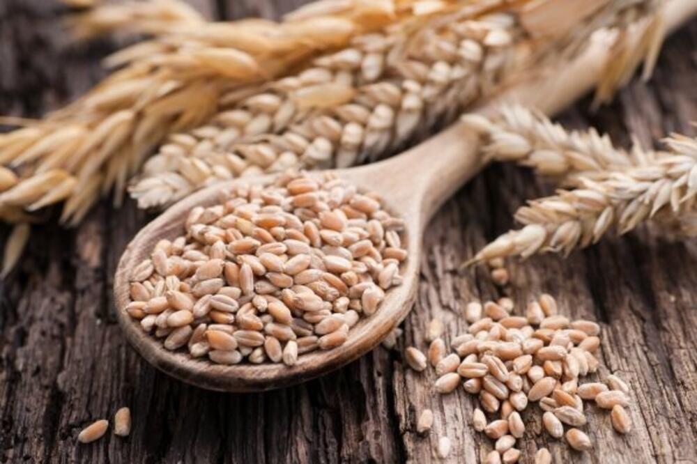 Ilustracija, Foto: D