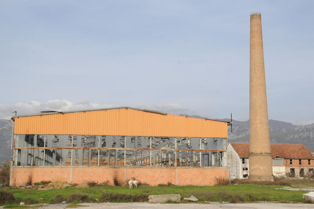 Foto: Vesko Belojevic