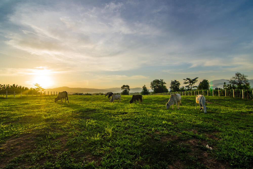 Ilustracija, Foto: Shutterstock
