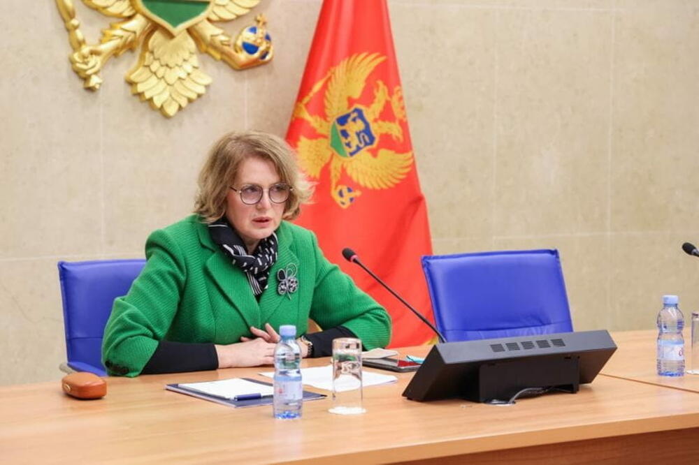 inistar predstavio njihove preporuke: Branka Bošnjak, Foto: Skupština Crne Gore