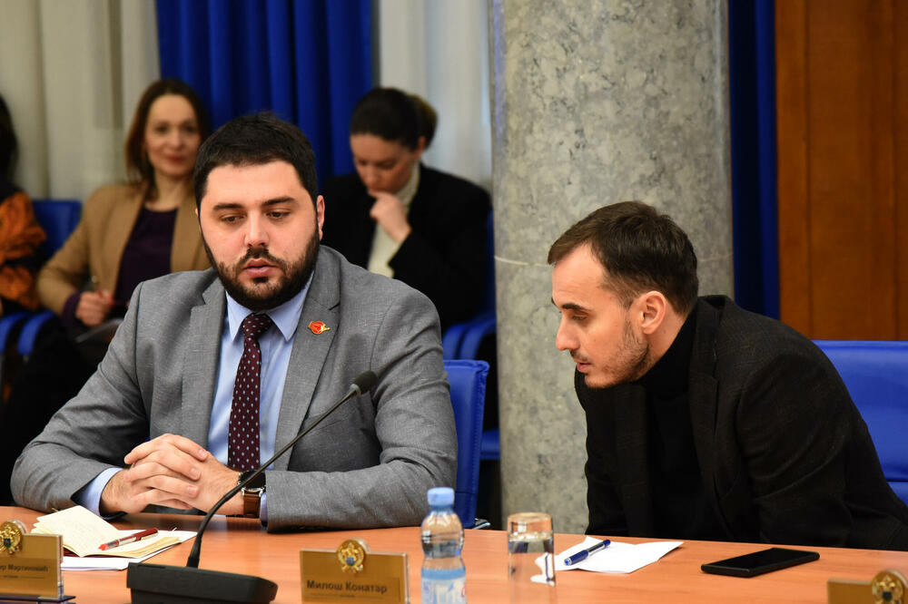 Sa sjednice Odbora, Foto: Luka Zeković