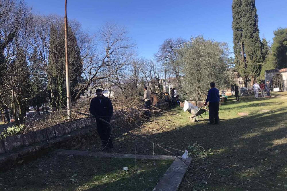 Foto: Miljana Kljajić