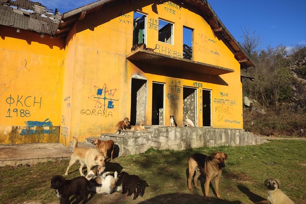 U oronuloj građevini našli dom, Foto: Svetlana Mandić