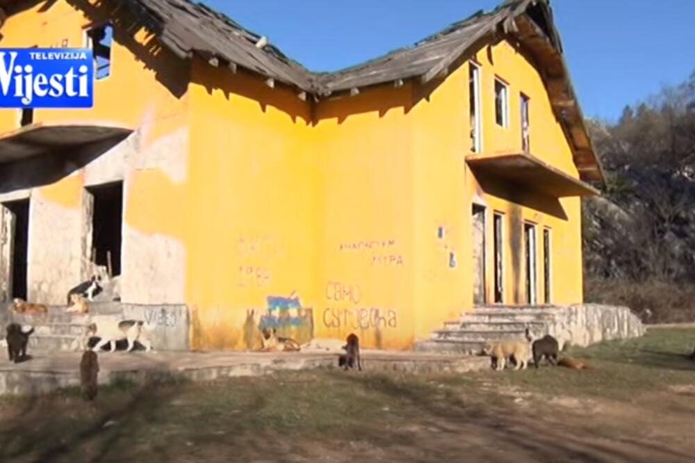 Foto: Printscreen/YouTube/TV Vijesti