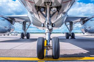 "Prilično je nevjerovatno da je živ": Slijepi putnik među...