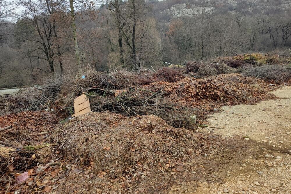 Foto: Svetlana Mandić