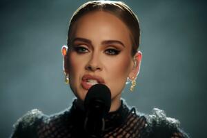 Adel sama kriva za otkazivanje koncerta