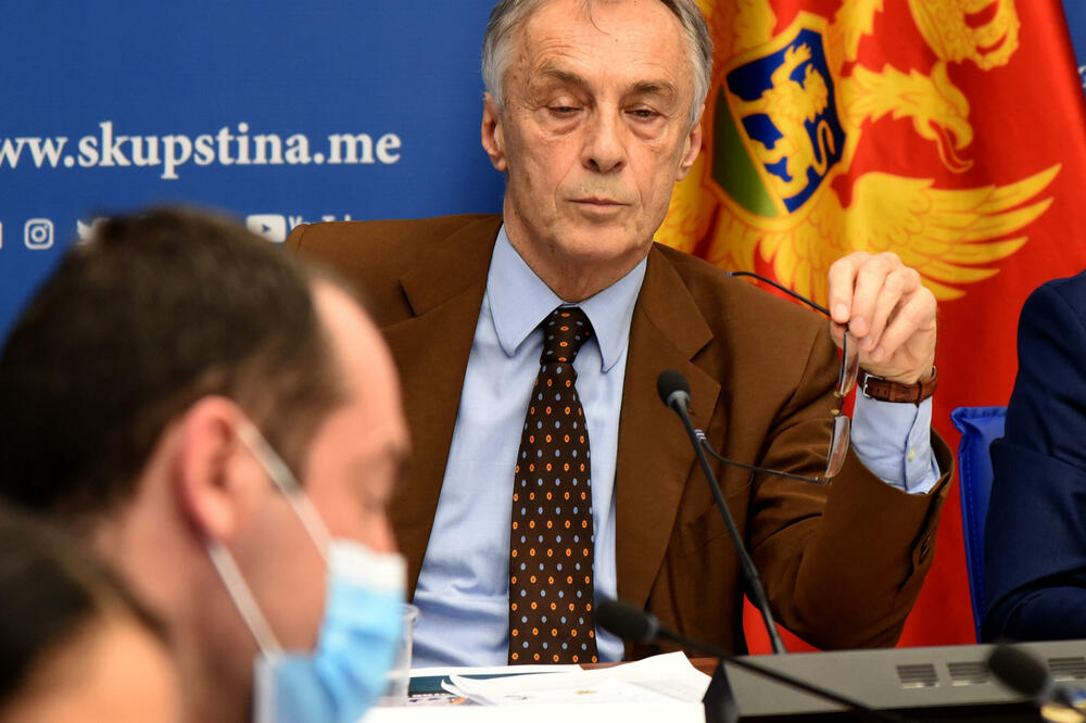 Haotična agonija Vlade: Lekić na sjednici Odbora, Foto: Luka Zekovic