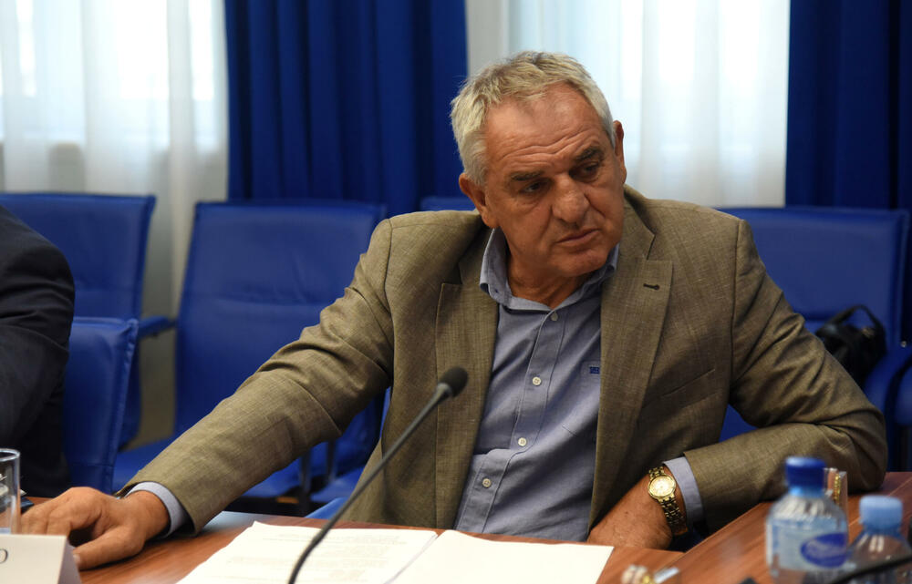 Mišljenje tek nakon zaključka Vlade: Ratko Mitrović