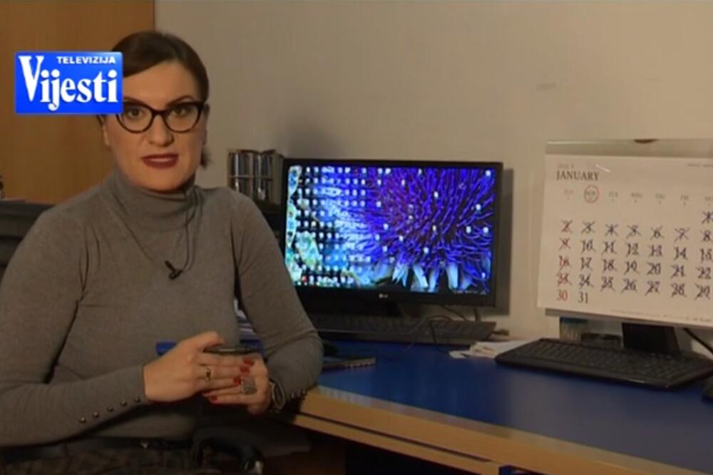 Novinarka TV Vijesti Ana Milačić, Foto: Printscreen