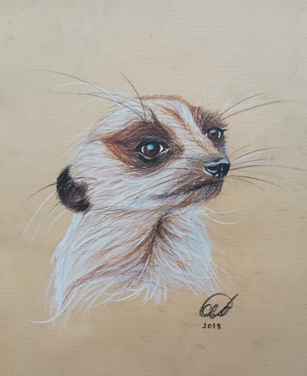 Rad Čarne Obrenović