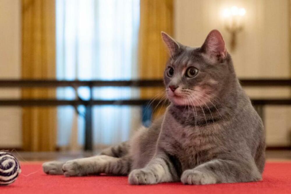 Foto: Courtesy White House