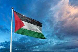 "Palestina pozdravlja izvještaj o izraelskom režimu aparthejda i...