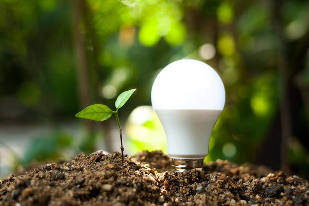 Foto: Opština Tivat