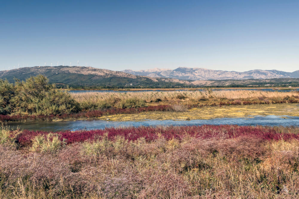 Solana (ilustracija), Foto: Shutterstock