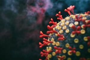 Omikron BA.2 i koronavirus: Šta je to i da li treba da se brinemo