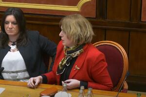 Bošnjak: Partija se formira u kripti hrama, sveštenici zovu naše...