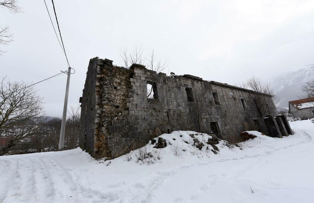 <p>Pored muzeja nalazi se i dvor knjaza i kralja Nikole, velika kuća u kojoj je rođen, koja za razliku od muzeja izgleda prilično zapušteno U blizini je i ruševina velike stare kuće, gdje su živjeli roditelji vladike Rada</p>