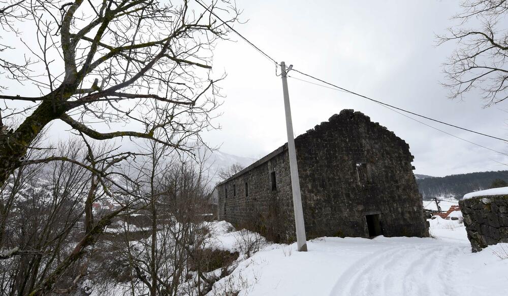 <p>Pored muzeja nalazi se i dvor knjaza i kralja Nikole, velika kuća u kojoj je rođen, koja za razliku od muzeja izgleda prilično zapušteno U blizini je i ruševina velike stare kuće, gdje su živjeli roditelji vladike Rada</p>
