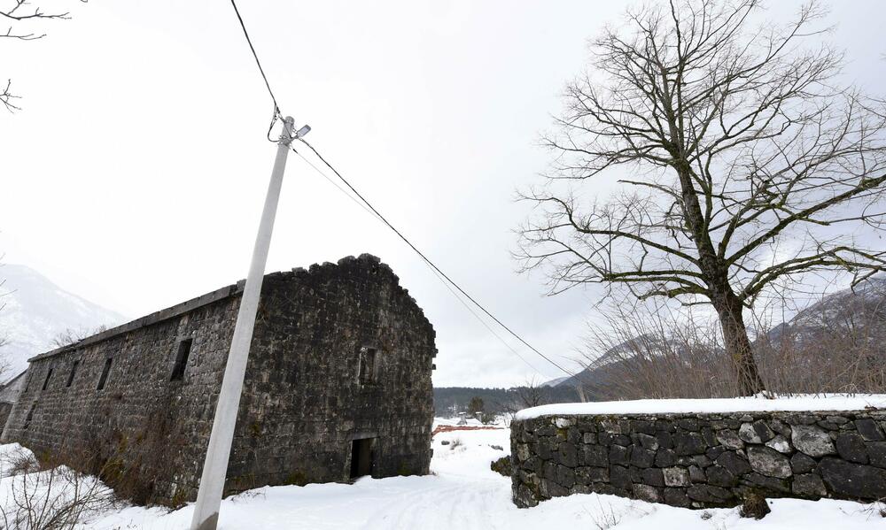<p>Pored muzeja nalazi se i dvor knjaza i kralja Nikole, velika kuća u kojoj je rođen, koja za razliku od muzeja izgleda prilično zapušteno U blizini je i ruševina velike stare kuće, gdje su živjeli roditelji vladike Rada</p>