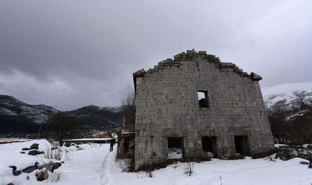 <p>Pored muzeja nalazi se i dvor knjaza i kralja Nikole, velika kuća u kojoj je rođen, koja za razliku od muzeja izgleda prilično zapušteno U blizini je i ruševina velike stare kuće, gdje su živjeli roditelji vladike Rada</p>
