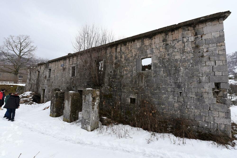 <p>Pored muzeja nalazi se i dvor knjaza i kralja Nikole, velika kuća u kojoj je rođen, koja za razliku od muzeja izgleda prilično zapušteno U blizini je i ruševina velike stare kuće, gdje su živjeli roditelji vladike Rada</p>
