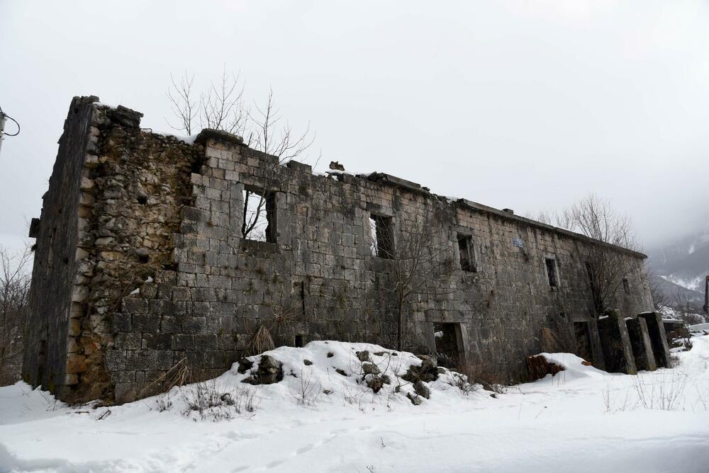<p>Pored muzeja nalazi se i dvor knjaza i kralja Nikole, velika kuća u kojoj je rođen, koja za razliku od muzeja izgleda prilično zapušteno U blizini je i ruševina velike stare kuće, gdje su živjeli roditelji vladike Rada</p>