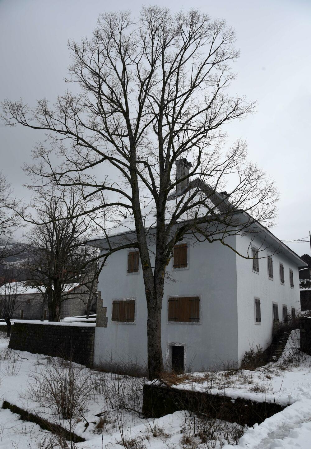 <p>Pored muzeja nalazi se i dvor knjaza i kralja Nikole, velika kuća u kojoj je rođen, koja za razliku od muzeja izgleda prilično zapušteno U blizini je i ruševina velike stare kuće, gdje su živjeli roditelji vladike Rada</p>