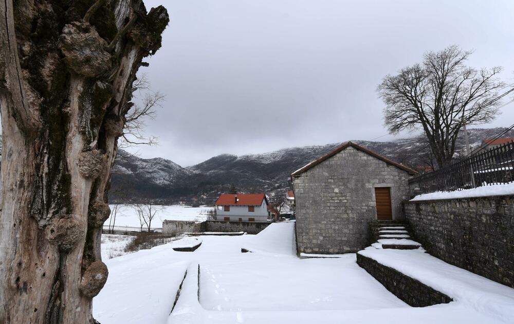 <p>Pored muzeja nalazi se i dvor knjaza i kralja Nikole, velika kuća u kojoj je rođen, koja za razliku od muzeja izgleda prilično zapušteno U blizini je i ruševina velike stare kuće, gdje su živjeli roditelji vladike Rada</p>