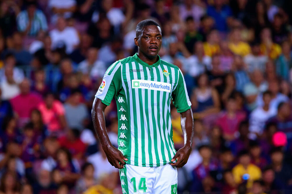 Karvaljo, Foto: Shutterstock