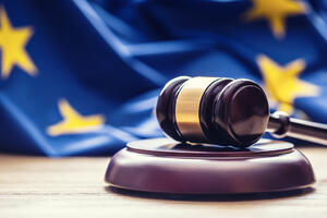 Evropski sud riješio 195 predstavki iz Crne Gore