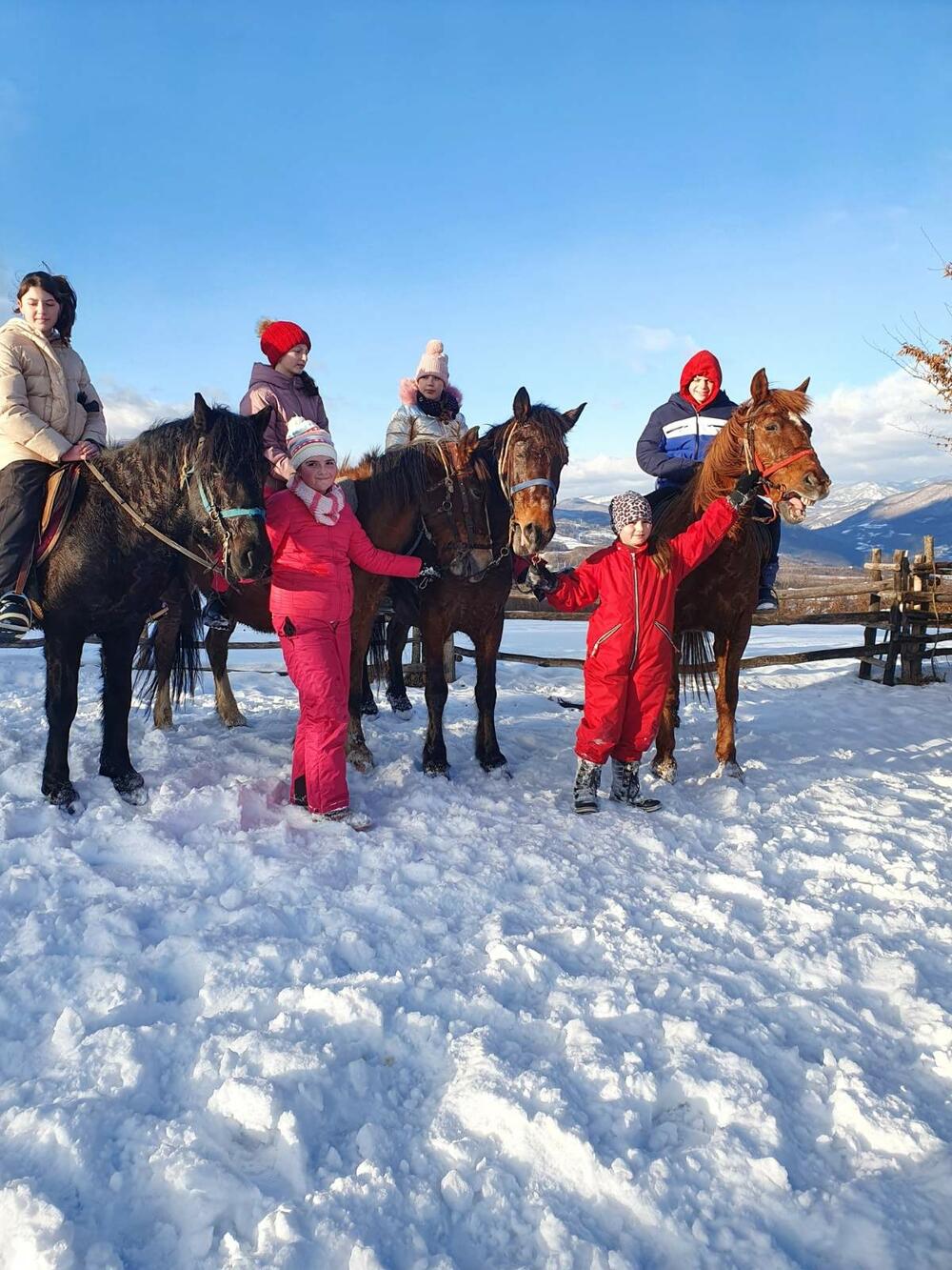 Sve veće interesovanje za jahanje